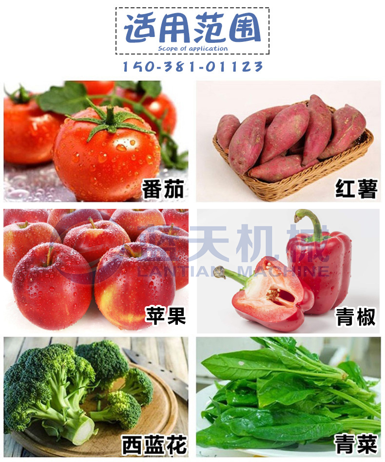 辣椒清洗机适用范围