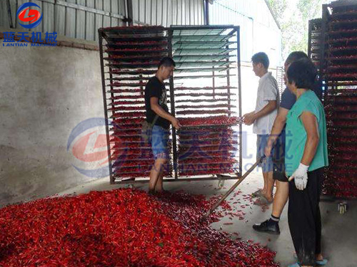 陕西辣椒烘干机用户现场